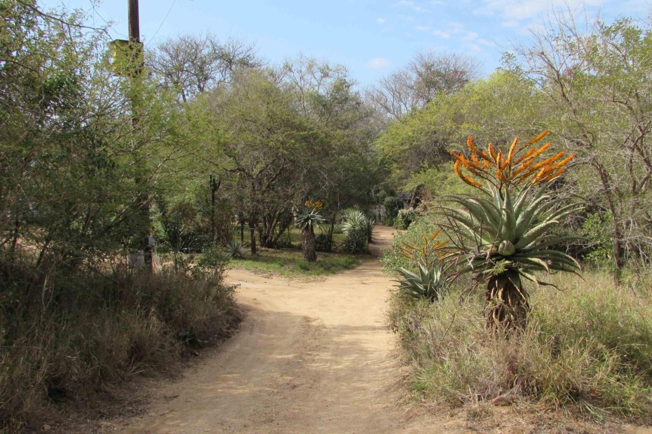 Amanzimlotzi Riverside Bush Camp Hoedspruit Bagian luar foto