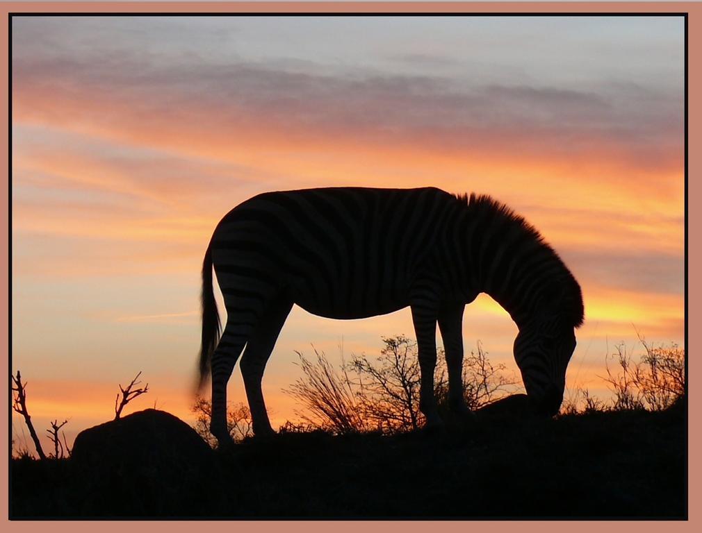 Amanzimlotzi Riverside Bush Camp Hoedspruit Bagian luar foto