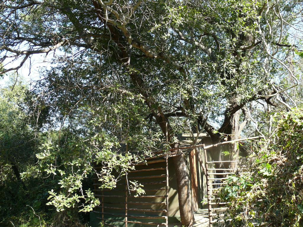 Amanzimlotzi Riverside Bush Camp Hoedspruit Ruang foto