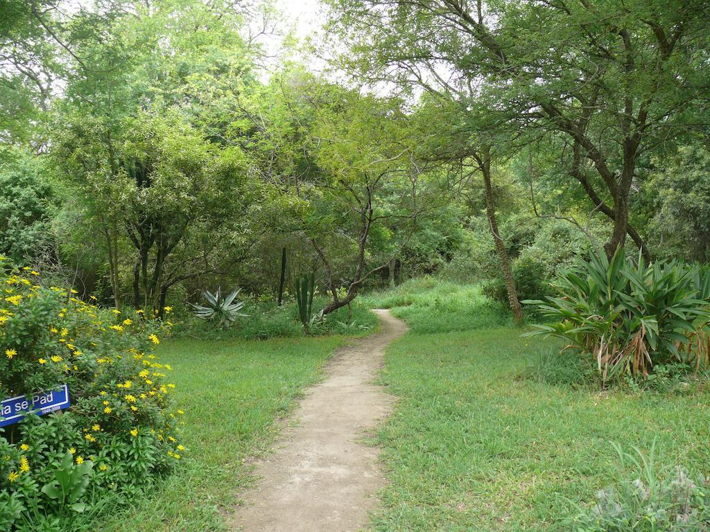 Amanzimlotzi Riverside Bush Camp Hoedspruit Ruang foto