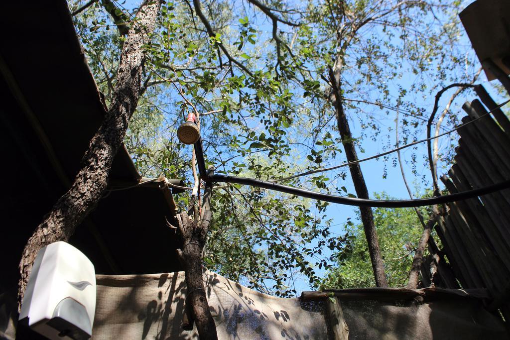 Amanzimlotzi Riverside Bush Camp Hoedspruit Bagian luar foto