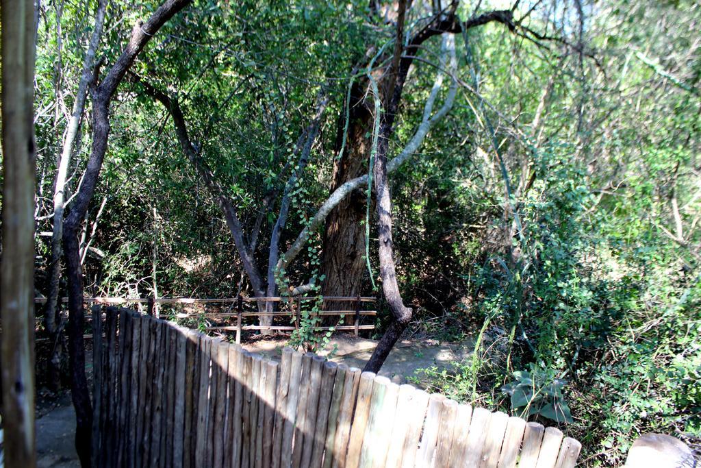 Amanzimlotzi Riverside Bush Camp Hoedspruit Bagian luar foto