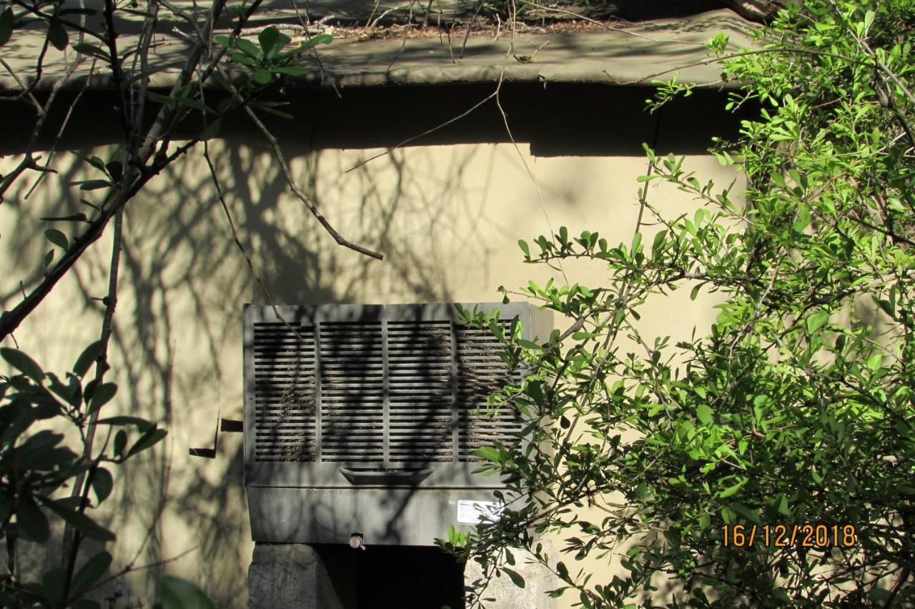 Amanzimlotzi Riverside Bush Camp Hoedspruit Bagian luar foto