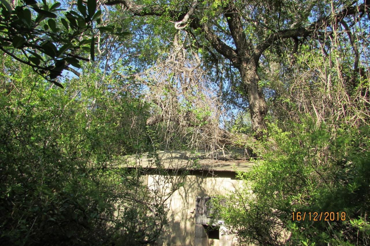 Amanzimlotzi Riverside Bush Camp Hoedspruit Bagian luar foto