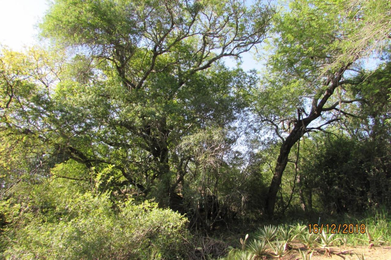 Amanzimlotzi Riverside Bush Camp Hoedspruit Bagian luar foto
