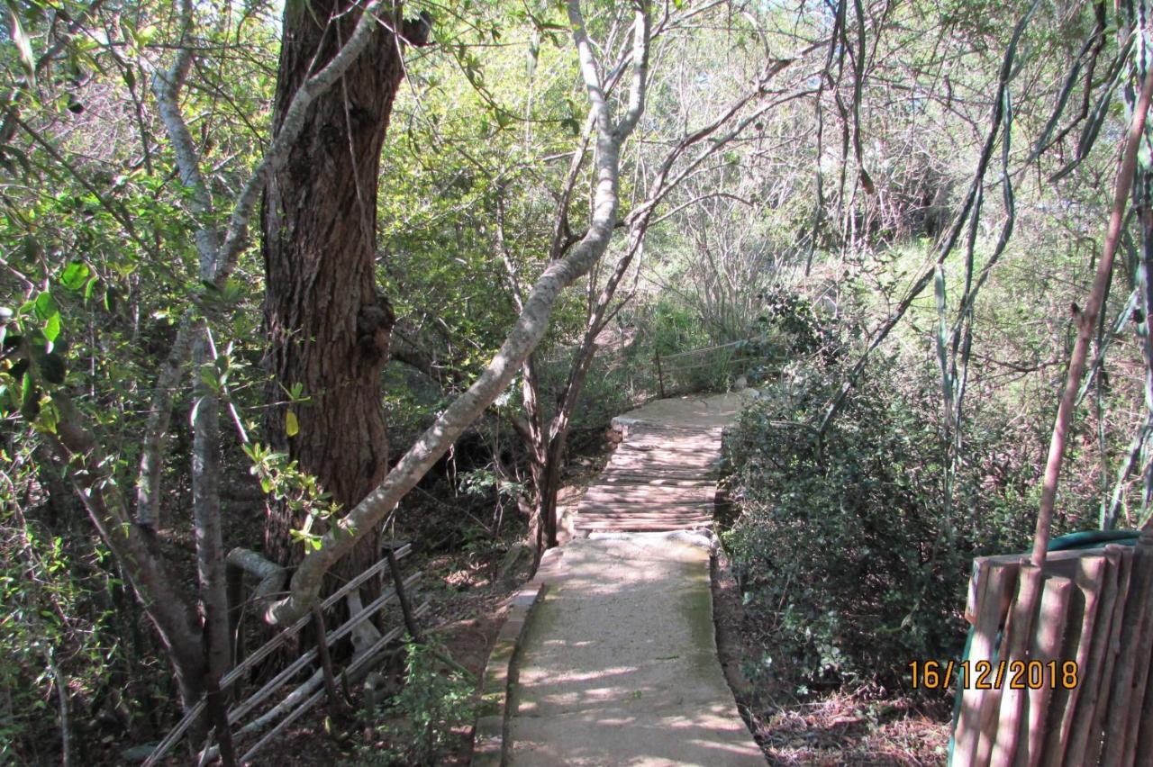 Amanzimlotzi Riverside Bush Camp Hoedspruit Bagian luar foto