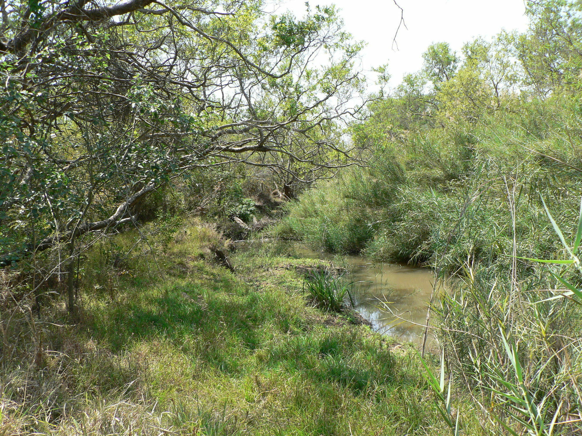 Amanzimlotzi Riverside Bush Camp Hoedspruit Bagian luar foto
